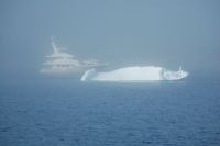 Migration at anchor in the fog