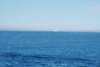 Lots of icy bits in the&nbsp;water