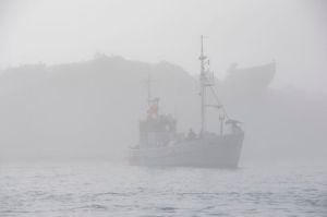 Whaling ship in the fog at the ice fjord (Photo by Steve D'Antonio)