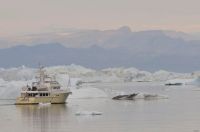 Shear Madness with more&nbsp;ice