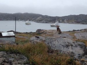 Shear Madness and Migration in Godhavn - we will miss our buddy boat!