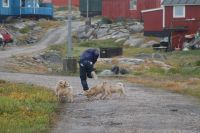 2014-08 Greenland –&nbsp;776