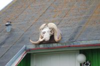 2014-08 Greenland –&nbsp;781