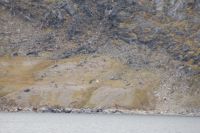 Another bear seen from&nbsp;afar