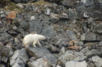 Traveling along the&nbsp;rocks