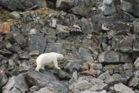 Traveling along the&nbsp;rocks