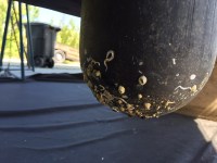 Sonar transducer before Kathy preps and paints&nbsp;it