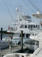 Sockeye Blue at Beaufort&nbsp;Docks