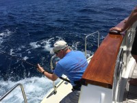 Bradley reels the first fish&nbsp;in