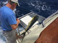 2015-05 Passage to&nbsp;Charleston_3195