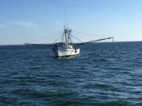 2015-05 Passage to&nbsp;Charleston_3239