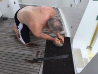 Coconuts are not that easy to get&nbsp;into!