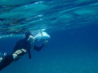 Bradley’s first spearfish catch of the&nbsp;season