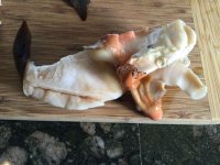 One of the fresh&nbsp;conch