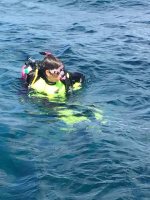 Getting ready for a&nbsp;dive