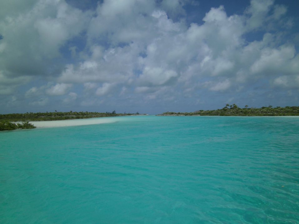 View of Bennett Creek