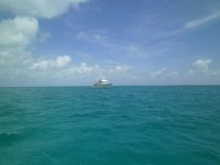 Shear Madness at Bennett’s&nbsp;Harbour