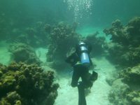 Bradley hits bottom on a&nbsp;dive