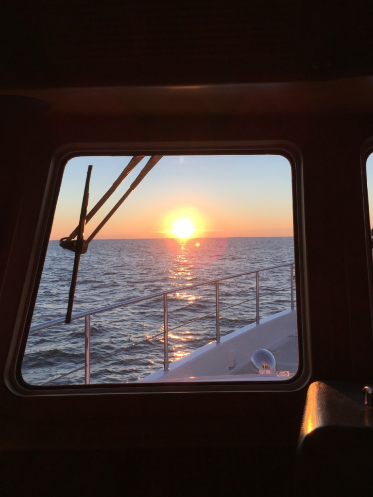 New Year's Day Sunrise on the Potomac