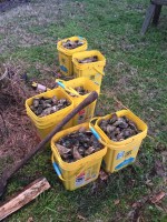 2016-02 Oyster Roast_2329