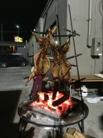 2016-03 Charleston and&nbsp;Brunswick_2519