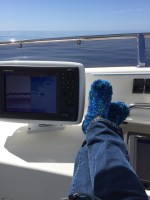 2016-03 Charleston and&nbsp;Brunswick_2545