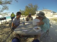Learning to play&nbsp;dominoes