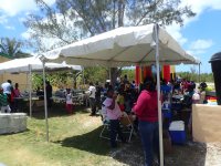School Fair on Cat&nbsp;Island