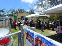 School Fair on Cat&nbsp;Island