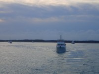 Southern Star, L’Adagio, and Starlet follow Shear&nbsp;Madness