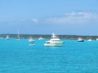 Mahara, Shear Madness, and&nbsp;Starlet