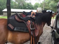 Visiting my cousin Bri and Katie and getting ready for a&nbsp;ride