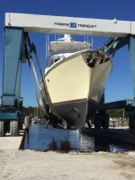 2016-11-more-travels-on-land_3479