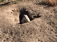 2016-11-more-travels-on-land_3504