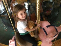 2016-11-more-travels-on-land_3539