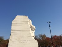 2016-11-more-travels-on-land_3563