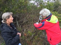 2016-12 Beaufort_3647