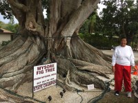 2016-12 Florida_3615