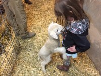 2017-03 Colorado_3867