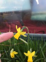 2017-05 Front Street&nbsp;Shipyard_4168