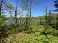 2017-06 Back in the&nbsp;water_4275