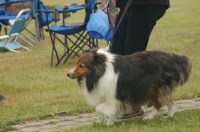 2017-07 Celtic Festival_0529