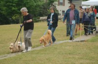 2017-07 Celtic Festival_0536