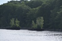 2017-07 Belfast to Bangor_0017