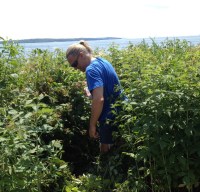 2017-07 Belfast to Bangor_0099_edited-1