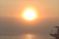 2017-08 Woodlin_0001