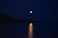 2017-08 Woodlin_0011