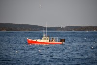 2017-08 Woodlin_0039