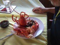 2014-06 Nova Scotia and Onwards –&nbsp;64