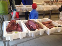 2014-08 Greenland –&nbsp;070